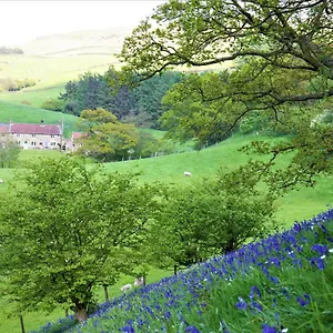 https://bluebells-cottage.yorkshirehotels.net